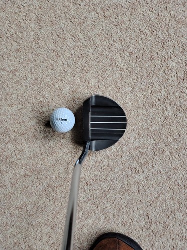 Wilson staff infinite bean - 34",